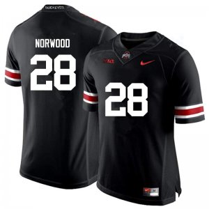 Men's Ohio State Buckeyes #28 Joshua Norwood Black Nike NCAA College Football Jersey Best IBF1744JZ